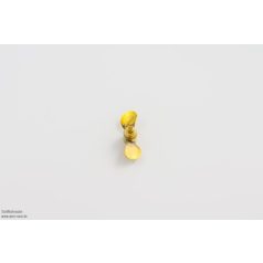   Hajócsavar 2-ágú sárgaréz d: 45 mm, M4, jobbos, Raboesch