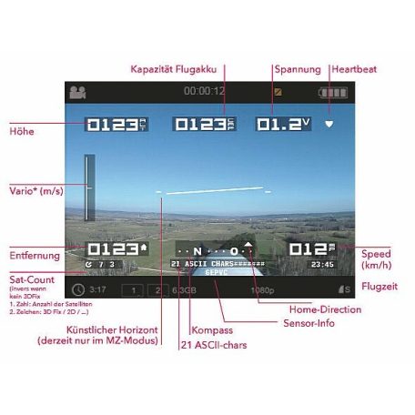 HOTT OSD (on screen display) Modul Graupner
