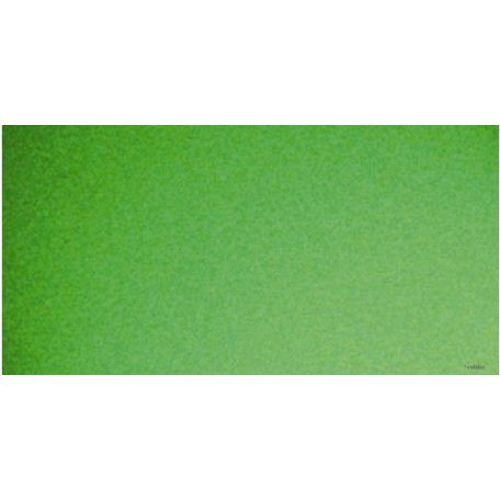Ro-Color Spray Paint 150 ml green apple pearl effect