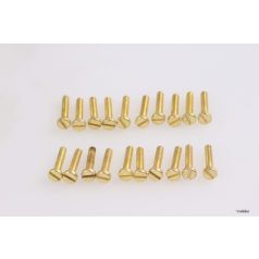 Csavar sárgaréz M2 x 10 mm - 10 db