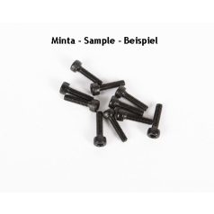 Imbuszcsavar M2,5 x 4mm