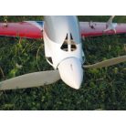 Sebart Miss Wind S 50 E 152cm ARF