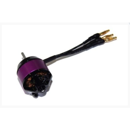 BL Outrunner Motor A10-13L  Hacker