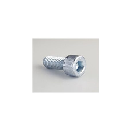 Hex. socket head screw M5 x 25mm - 10 pc - stainless - Din 912