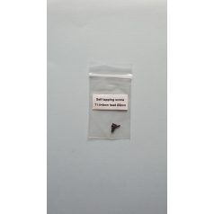 Deck screw 1.4 x 4 mm - pan head screw - 5x