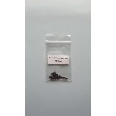 Deck screw 2 x 8 mm - pan headed allen screw - 10x