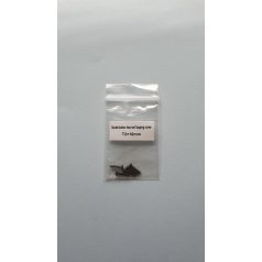 Deck screw 2 x 10 mm - pan headed allen screw - 5x