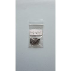 Deck screw 2.6 x 12 mm - pan headed allen screw - 10x