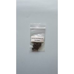 Deck screw 3 x 10 mm - pan headed allen screw - 10x