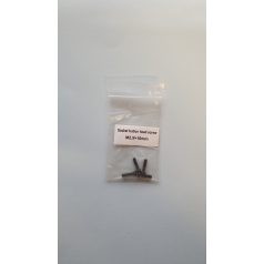 Machine screw M2.5 x 10 mm -pan headed allen screw - 4x