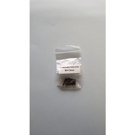 Machine screw M3 x 12 mm - pan headed allen screw - 5x